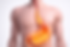 ChatGPT Image 11 feb 2026, 12_12_00.png